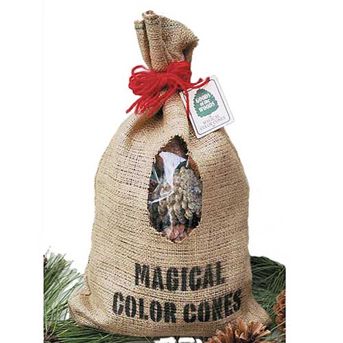 Color Pine Cones Find Your Color Pinecones Here